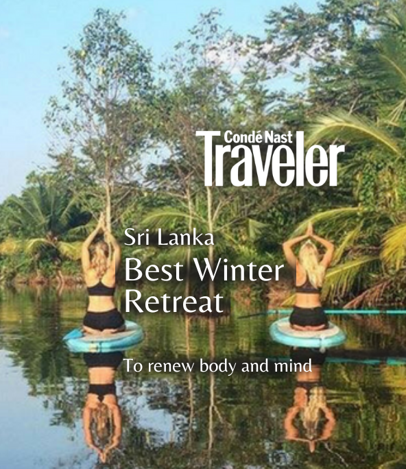 Best Yoga Retreat in Sri Lanka