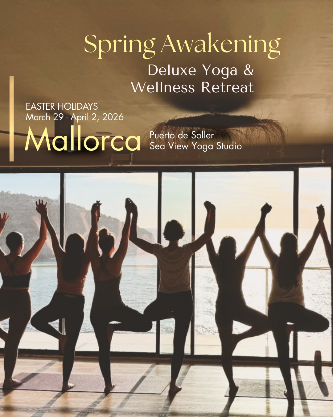 2026 Title New Toll Designs (Instagram Post (45)) (4)